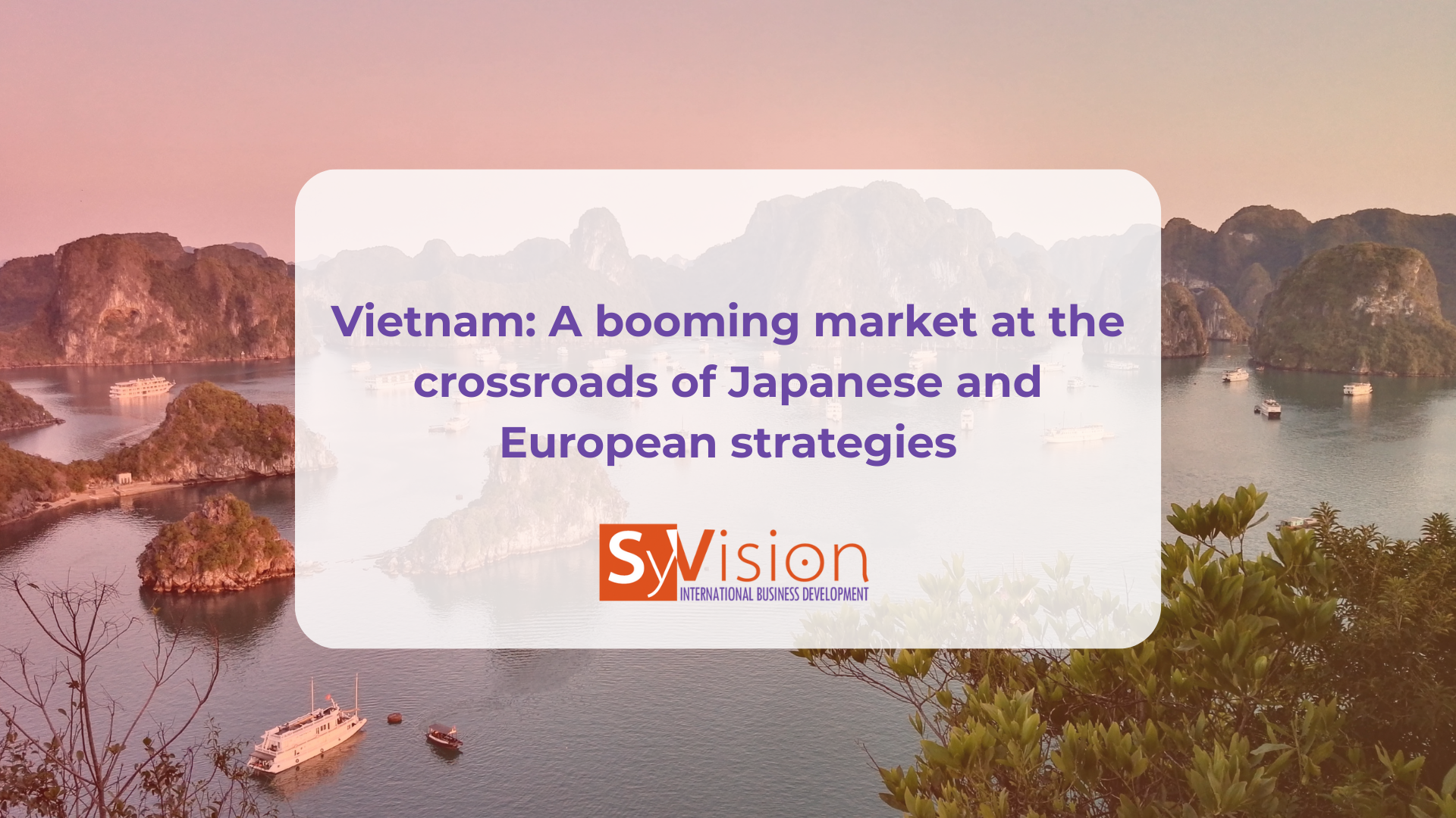 Intercultural Vietnam - Japan