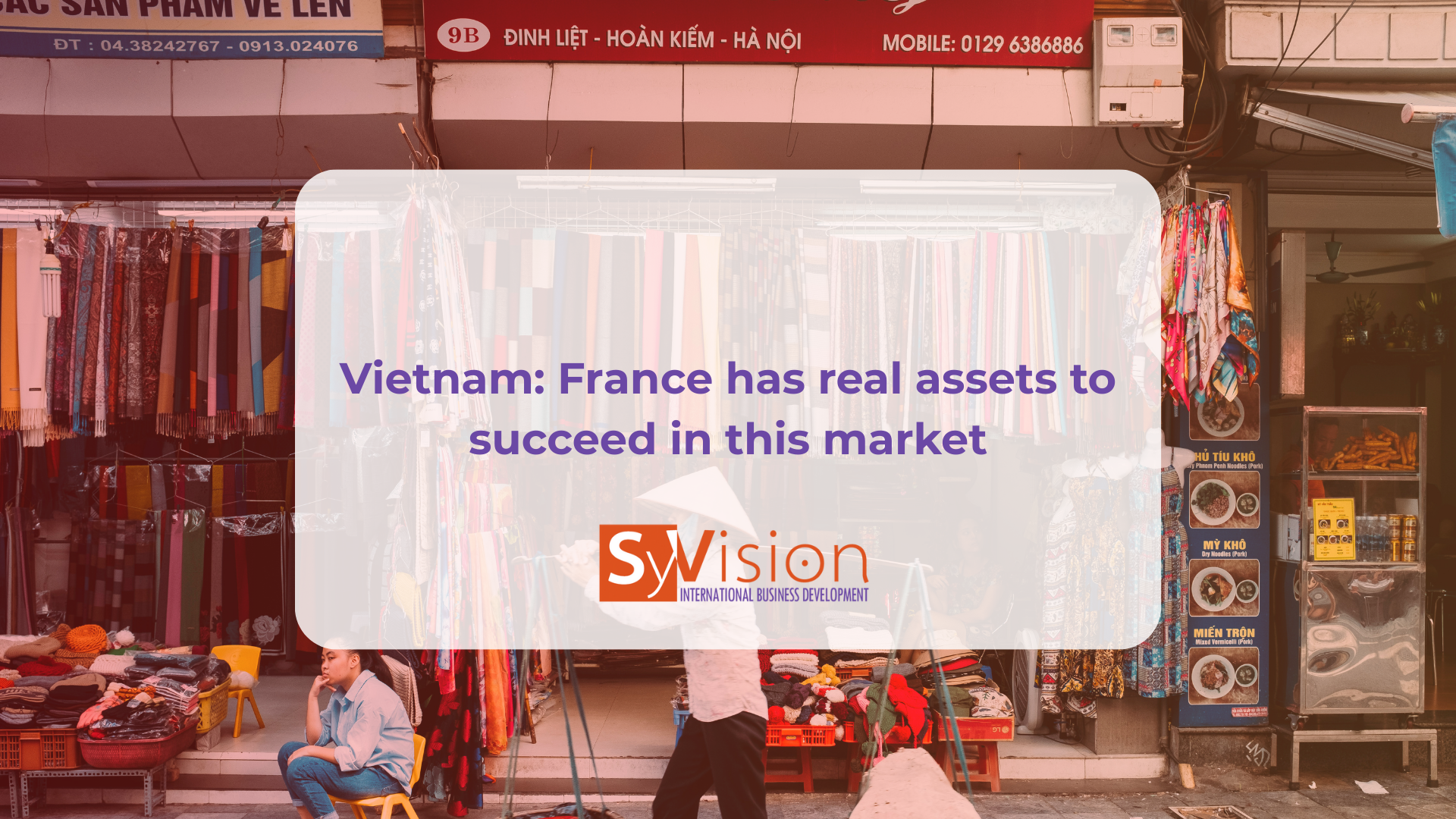 Intercultural SyVision Vietnam - France